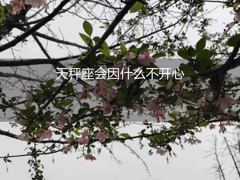 天秤座會(huì)因什么不開心