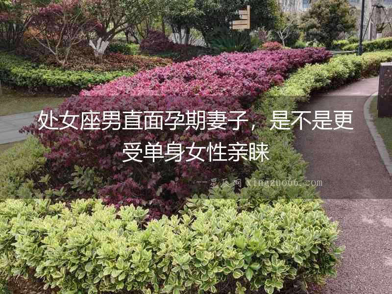處女座男直面孕期妻子，是不是更受單身女性親睞