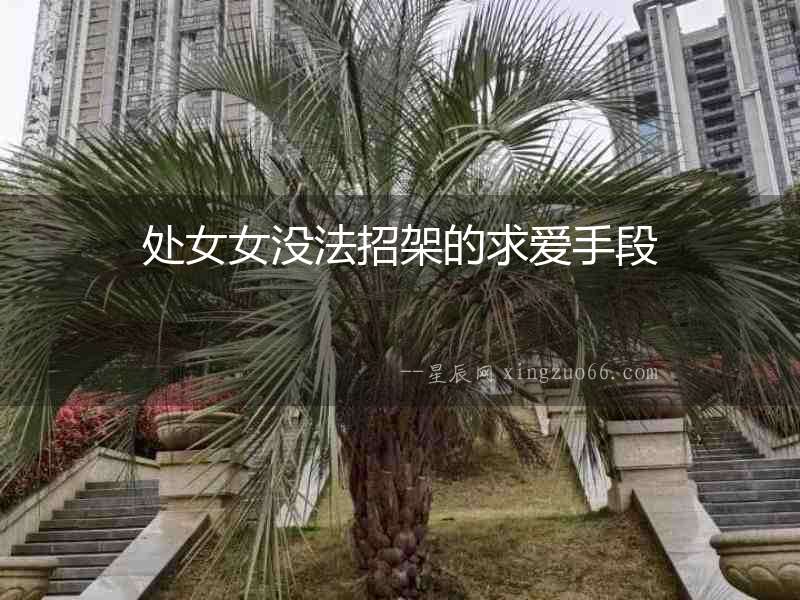 處女女沒法招架的求愛手段