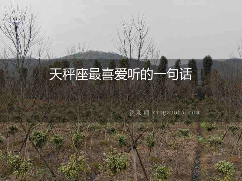 天秤座最喜愛聽的一句話