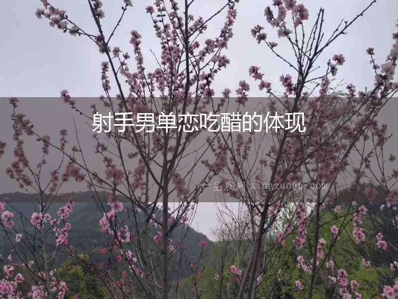 射手男單戀吃醋的體現