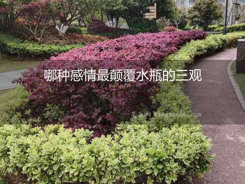 哪種感情最顛覆水瓶的三觀