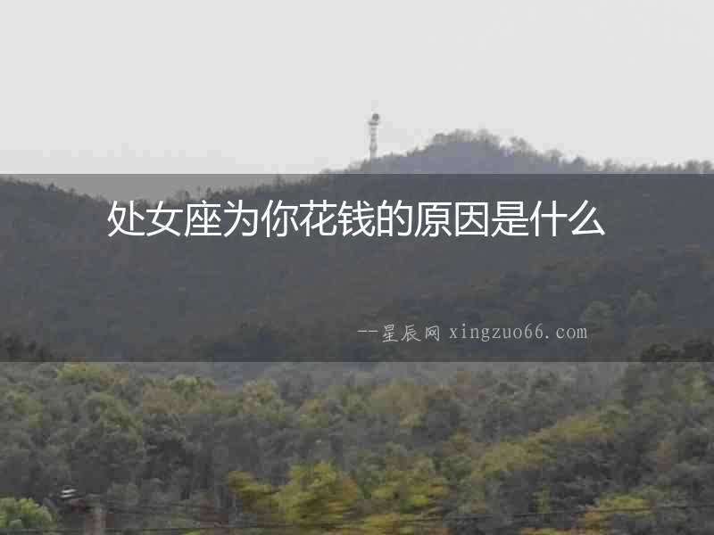處女座為你花錢的原因是什么