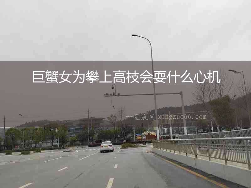 巨蟹女為攀上高枝會耍什么心機