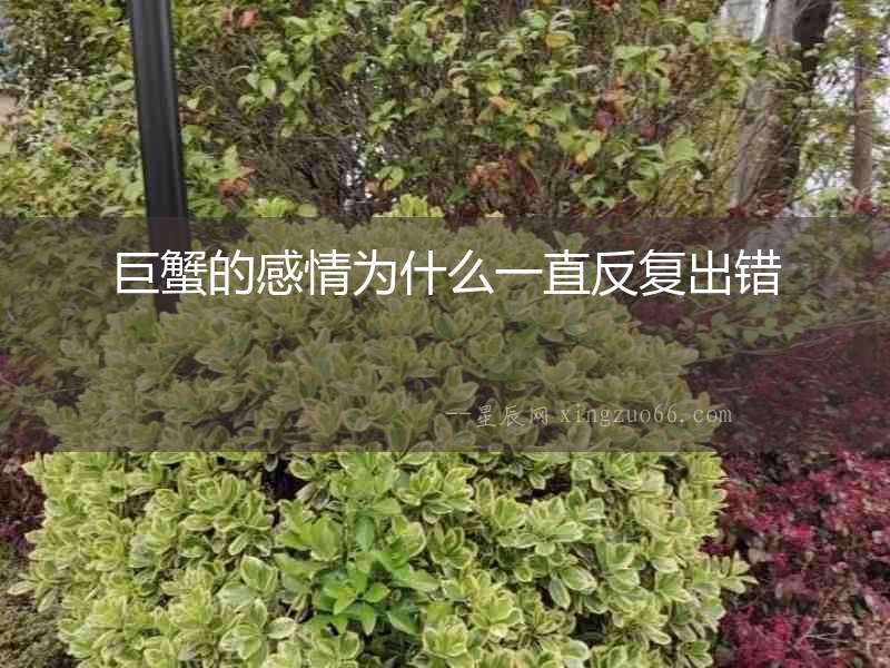 巨蟹的感情為什么一直反復(fù)出錯(cuò)