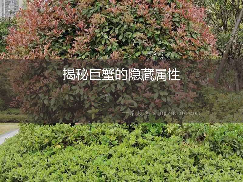 揭秘巨蟹的隱藏屬性