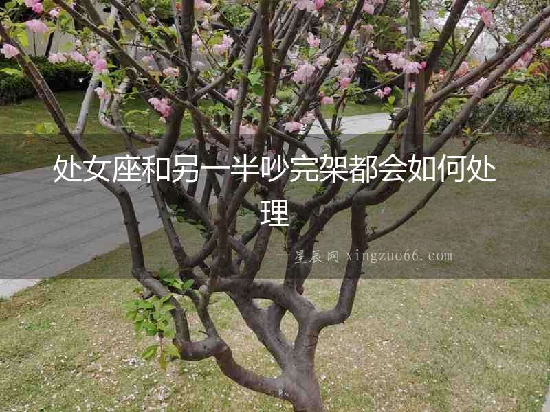 處女座和另一半吵完架都會如何處理
