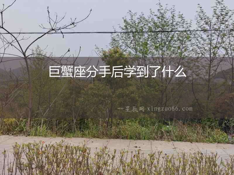 巨蟹座分手后學到了什么