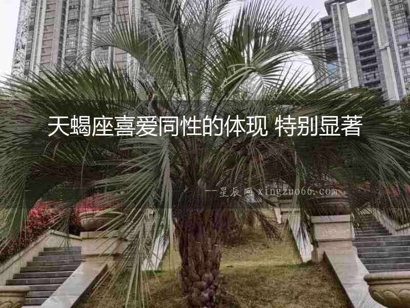 天蝎座喜愛同性的體現 特別顯著