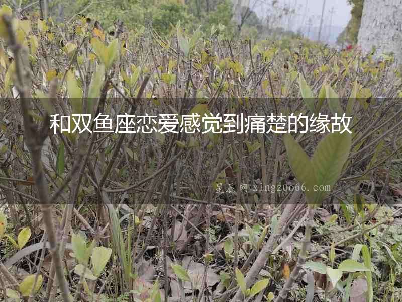 和雙魚座戀愛感覺到痛楚的緣故