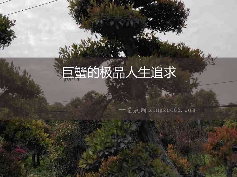 巨蟹的極品人生追求