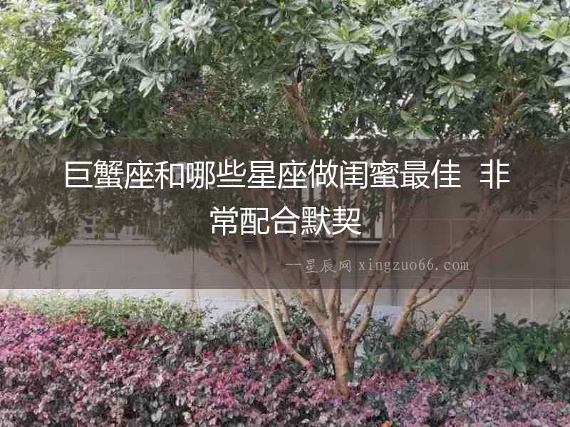 巨蟹座和哪些星座做閨蜜最佳  非常配合默契