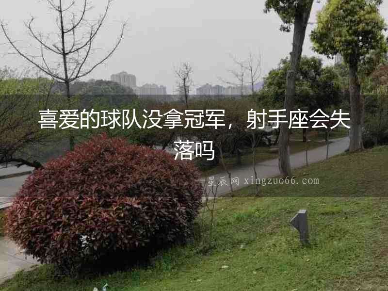 喜愛的球隊沒拿冠軍，射手座會失落嗎