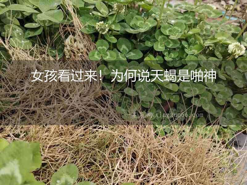 女孩看過來！為何說天蝎是啪神