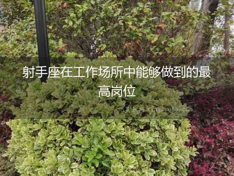 射手座在工作場所中能夠做到的最高崗位