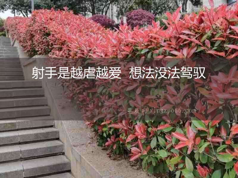 射手是越虐越愛  想法沒法駕馭