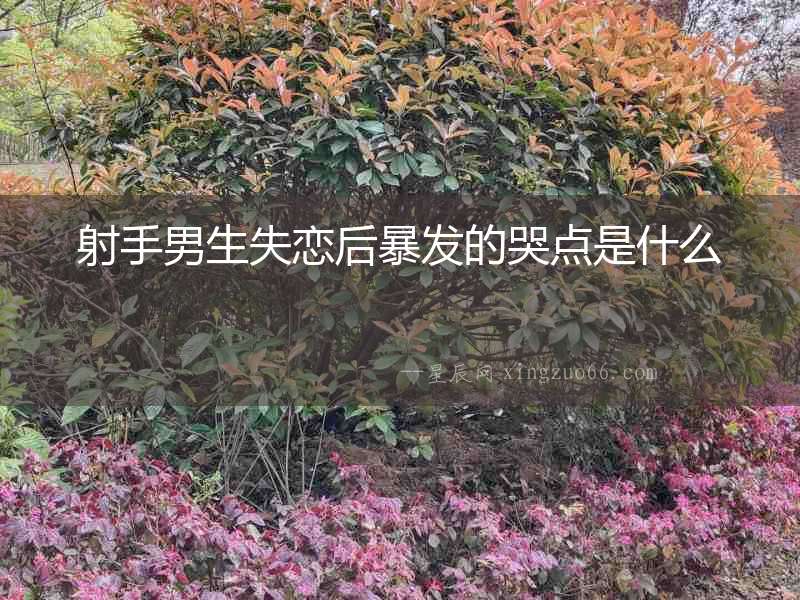 射手男生失戀后暴發(fā)的哭點是什么