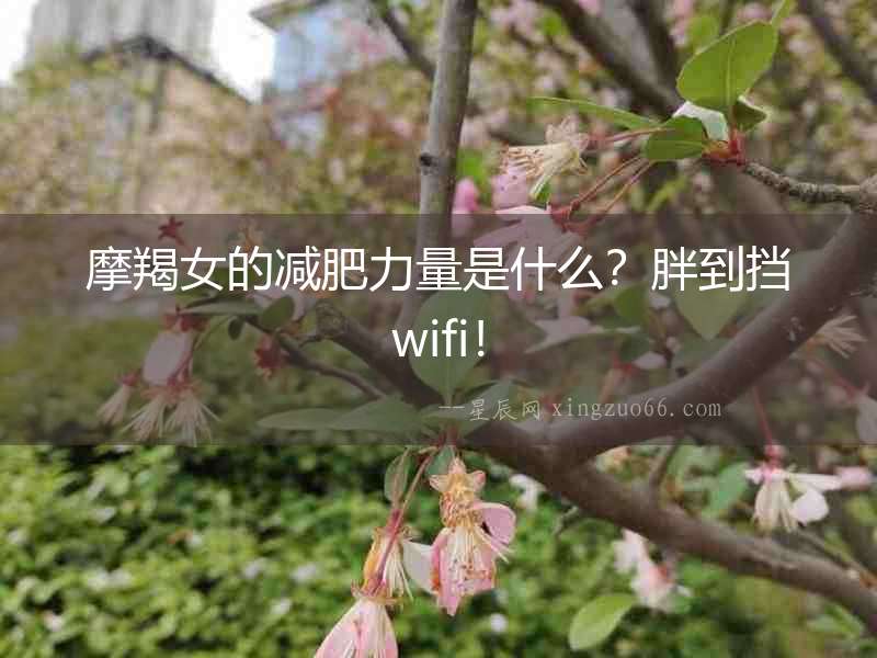 摩羯女的減肥力量是什么？胖到擋wifi！