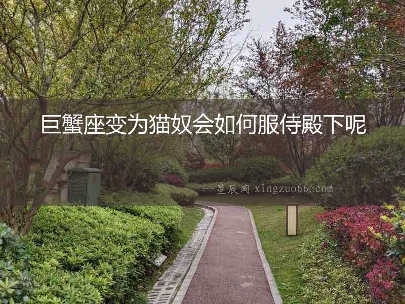 巨蟹座變為貓奴會如何服侍殿下呢