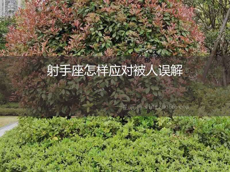 射手座怎樣應對被人誤解