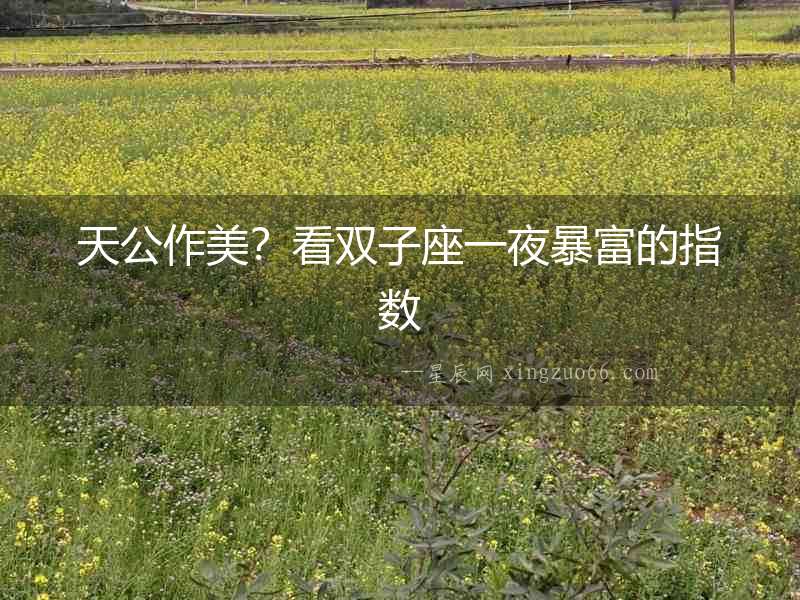 天公作美？看雙子座一夜暴富的指數