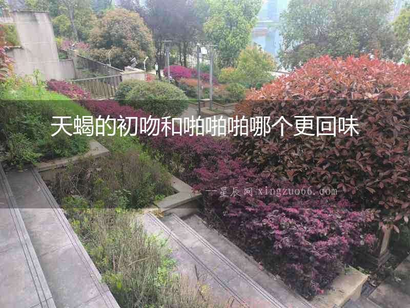 天蝎的初吻和啪啪啪哪個更回味