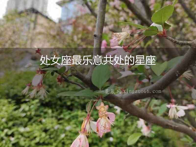 處女座最樂(lè)意共處的星座