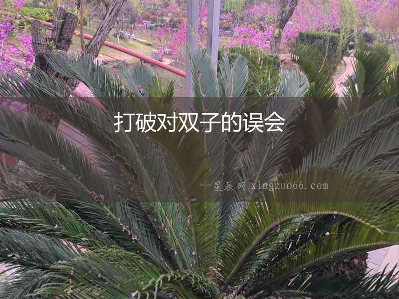 打破對雙子的誤會