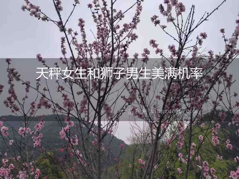 天秤女生和獅子男生美滿機(jī)率