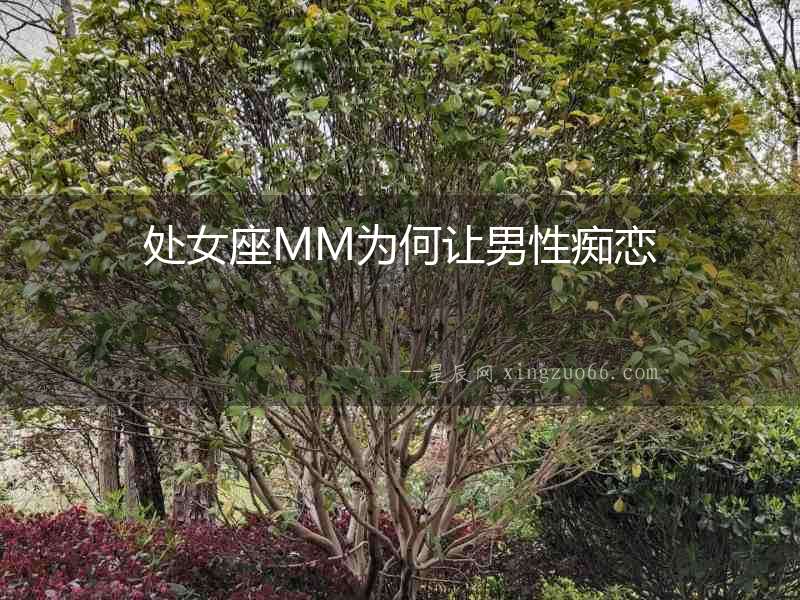 處女座MM為何讓男性癡戀