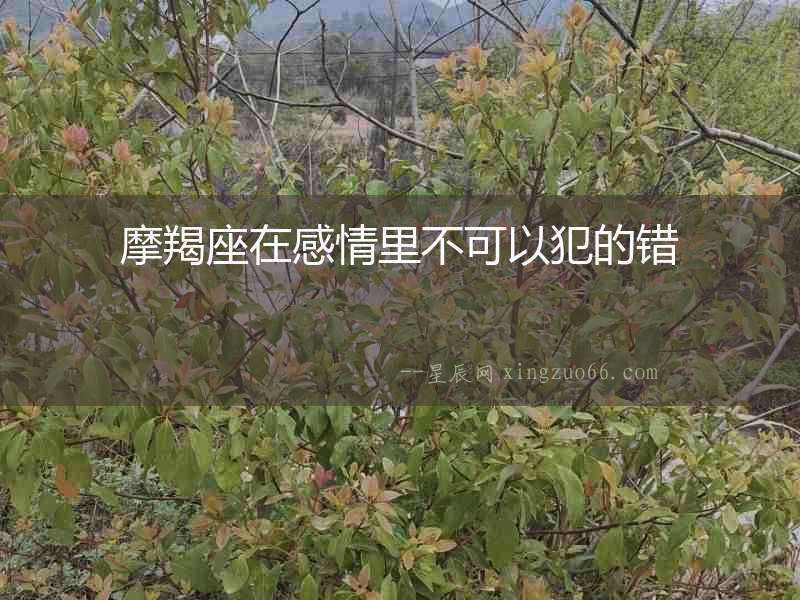 摩羯座在感情里不可以犯的錯