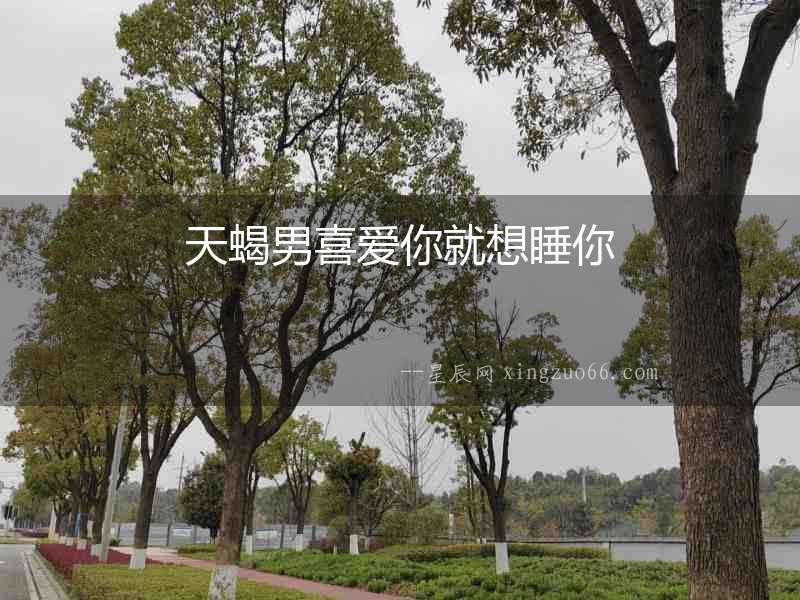 天蝎男喜愛你就想睡你