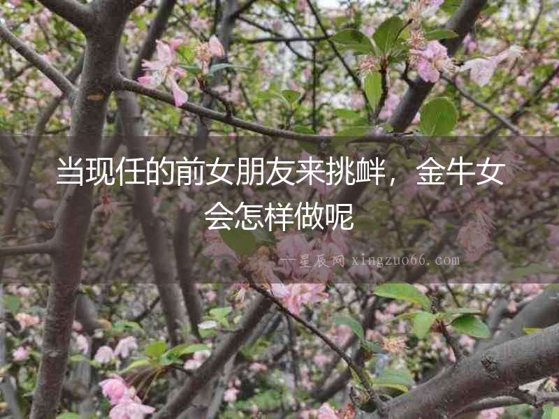 當(dāng)現(xiàn)任的前女朋友來挑釁，金牛女會(huì)怎樣做呢