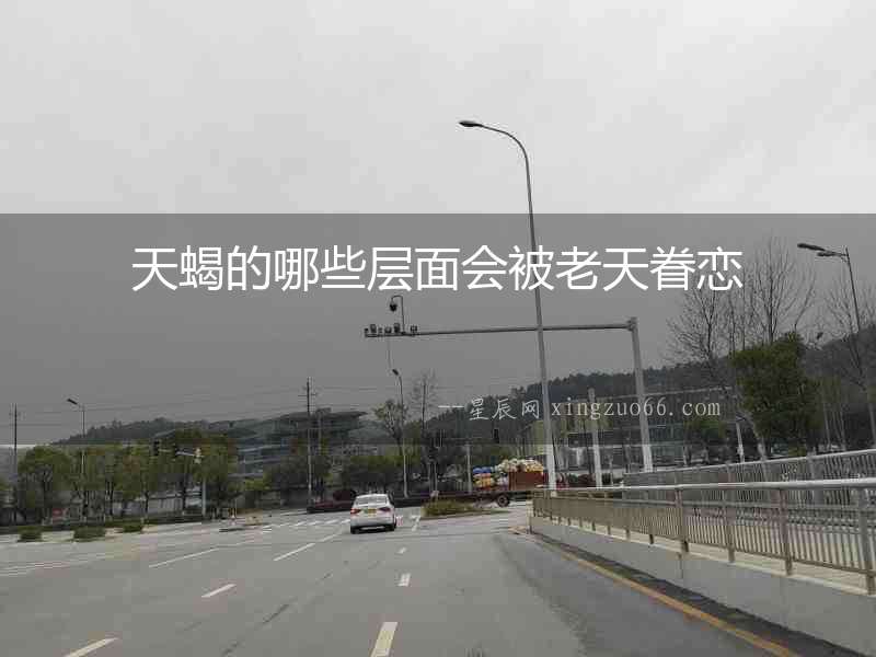 天蝎的哪些層面會被老天眷戀