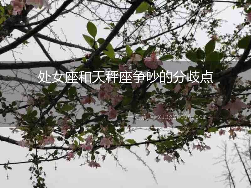 處女座和天秤座爭吵的分歧點