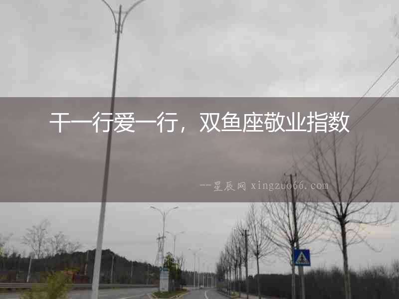 干一行愛一行，雙魚座敬業指數