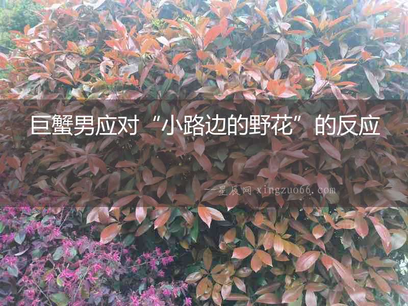 巨蟹男應(yīng)對“小路邊的野花”的反應(yīng)