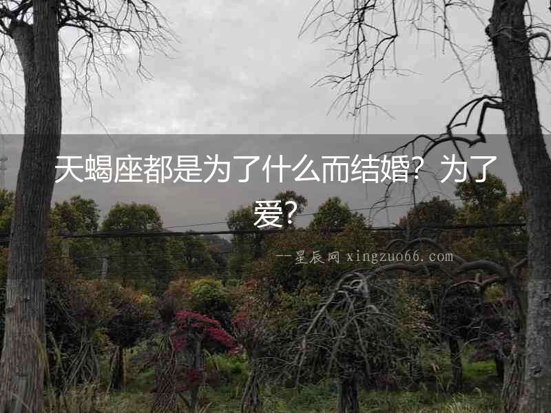 天蝎座都是為了什么而結婚？為了愛？