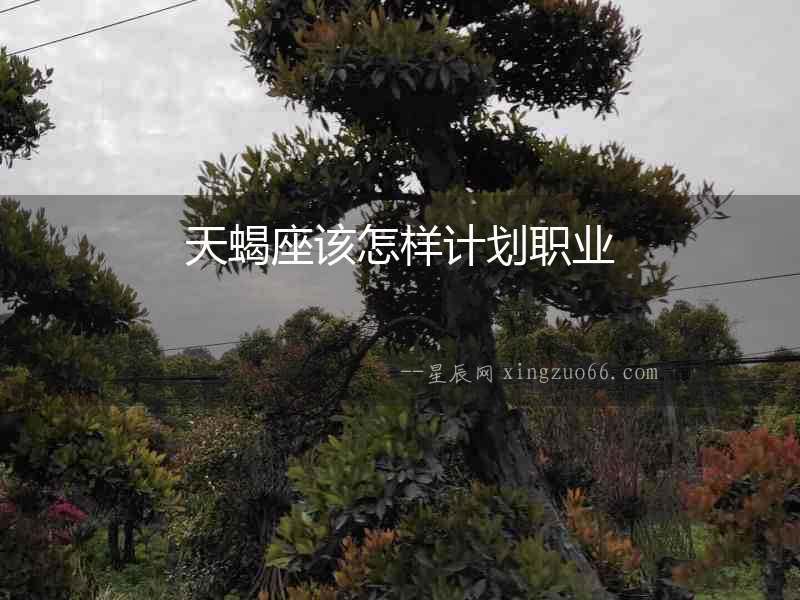 天蝎座該怎樣計(jì)劃職業(yè)