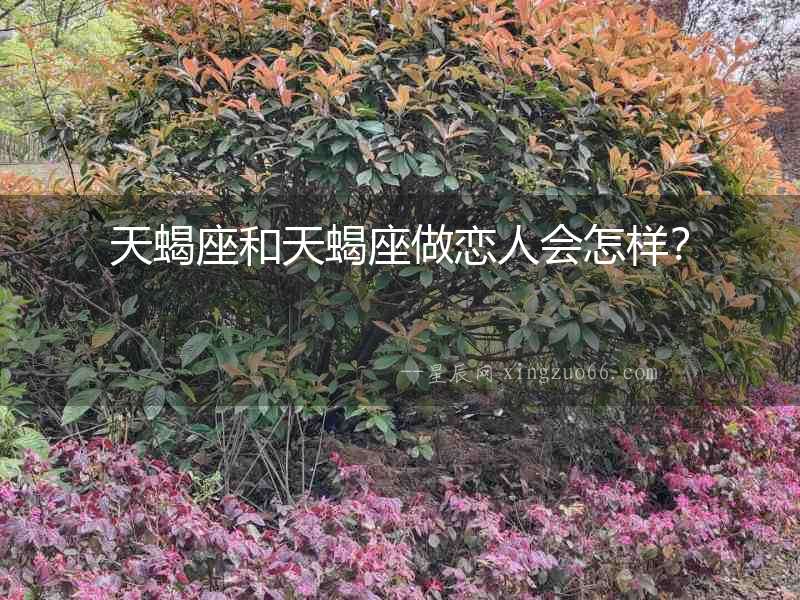 天蝎座和天蝎座做戀人會怎樣？