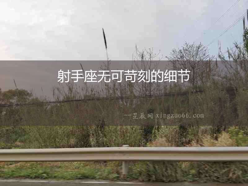射手座無可苛刻的細節