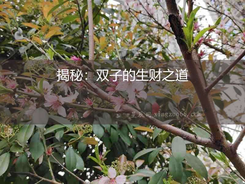 揭秘：雙子的生財(cái)之道