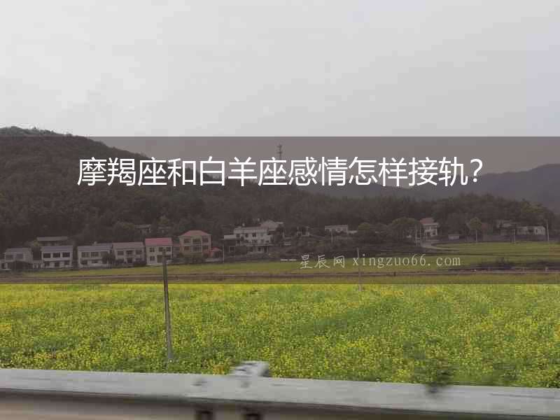 摩羯座和白羊座感情怎樣接軌？