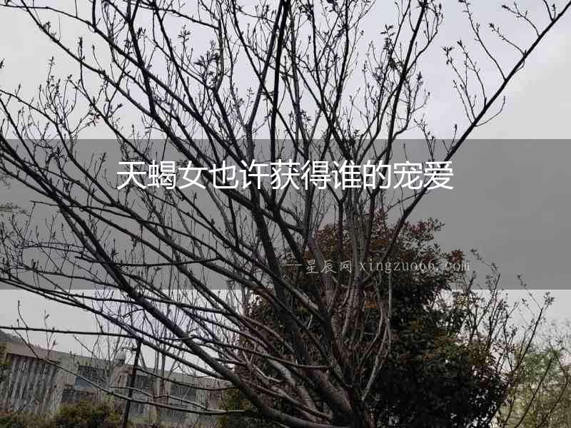 天蝎女也許獲得誰的寵愛