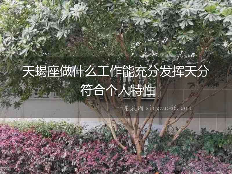 天蝎座做什么工作能充分發(fā)揮天分 符合個人特性