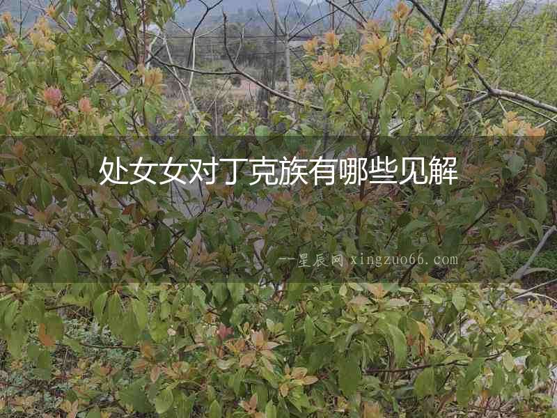 處女女對(duì)丁克族有哪些見解