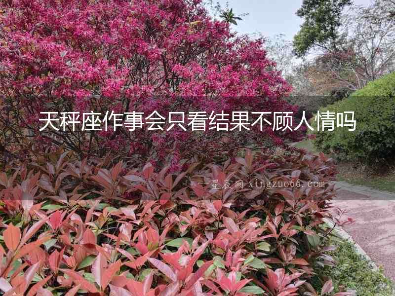 天秤座作事會只看結(jié)果不顧人情嗎