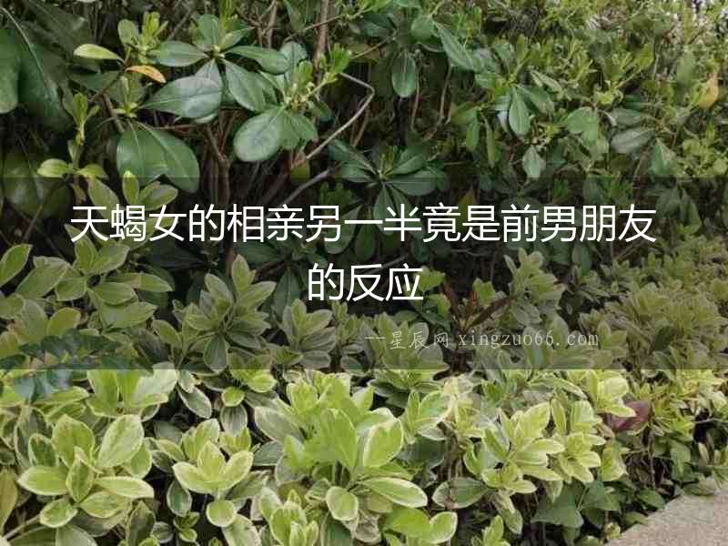 天蝎女的相親另一半竟是前男朋友的反應
