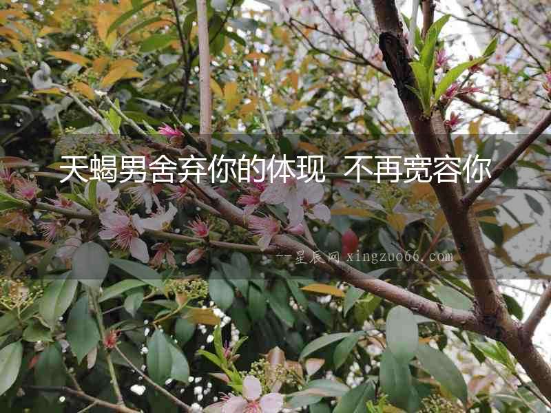 天蝎男舍棄你的體現  不再寬容你