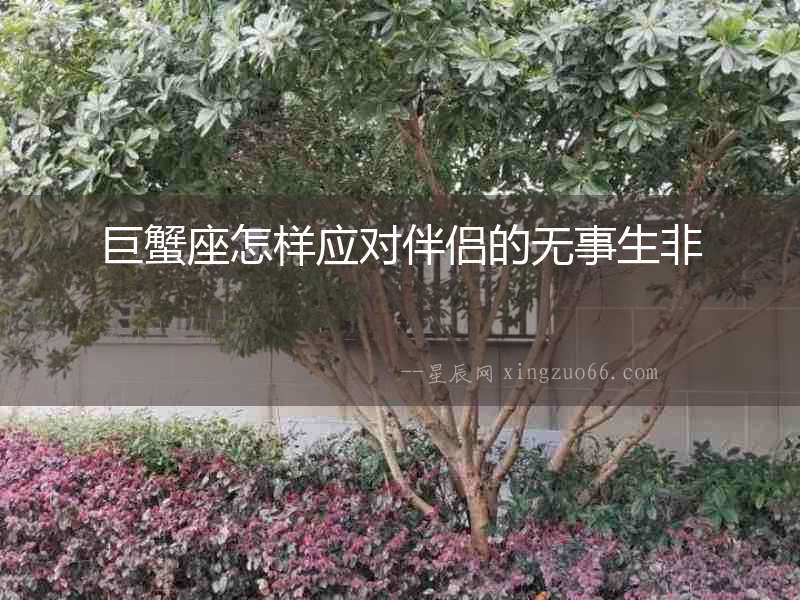 巨蟹座怎樣應對伴侶的無事生非